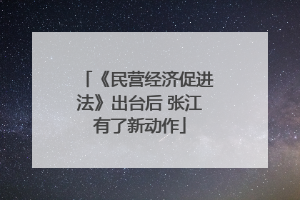 《民营经济促进法》出台后 张江有了新动作