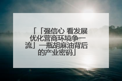 「强信心 看发展 优化营商环境争一流」一瓶胡麻油背后的产业密码