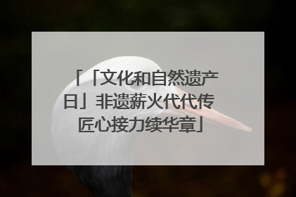 「文化和自然遗产日」非遗薪火代代传 匠心接力续华章