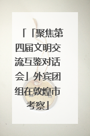 「聚焦第四届文明交流互鉴对话会」外宾团组在敦煌市考察