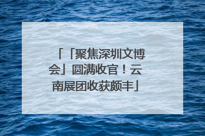 「聚焦深圳文博会」圆满收官！云南展团收获颇丰