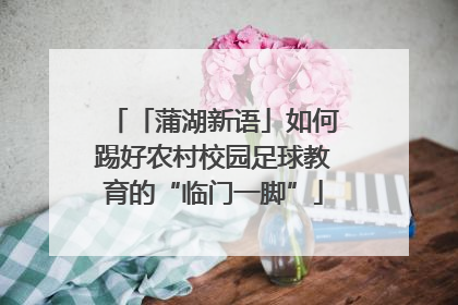 「蒲湖新语」如何踢好农村校园足球教育的“临门一脚”