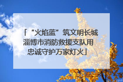 “火焰蓝”筑文明长城 淄博市消防救援支队用忠诚守护万家灯火