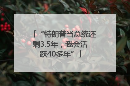 “特朗普当总统还剩3.5年，我会活跃40多年”