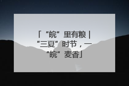 “皖”里有粮｜“三夏”时节，一“皖”麦香