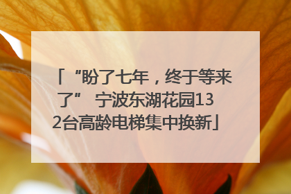 “盼了七年，终于等来了” 宁波东湖花园132台高龄电梯集中换新