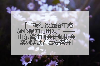 “砺行致远拾年路 凝心聚力再出发”——山东省注册会计师协会系列活动在泰安召开