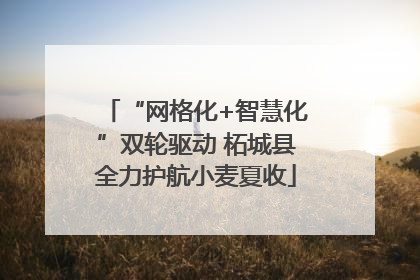 “网格化+智慧化”双轮驱动 柘城县全力护航小麦夏收
