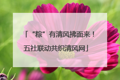 “粽”有清风拂面来！五社联动共织清风网