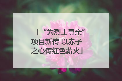 “为烈士寻亲”项目新传 以赤子之心传红色薪火