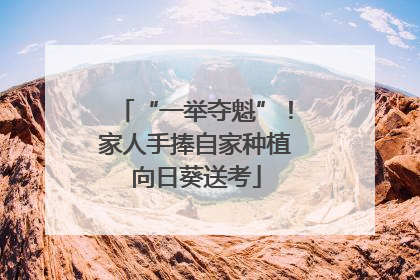 “一举夺魁”！家人手捧自家种植向日葵送考