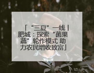 “三夏”一线丨肥城：探索“菌果蔬”轮作模式 助力农民增收致富