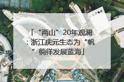 “两山”20年观澜：浙江庆元生态为“帆”徜徉发展蓝海