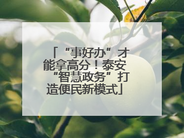 “事好办”才能拿高分！泰安“智慧政务”打造便民新模式