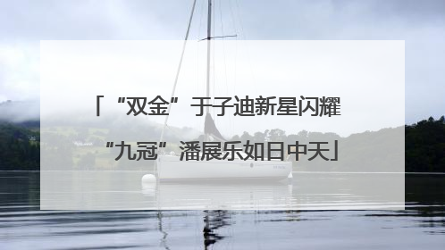 “双金”于子迪新星闪耀 “九冠”潘展乐如日中天