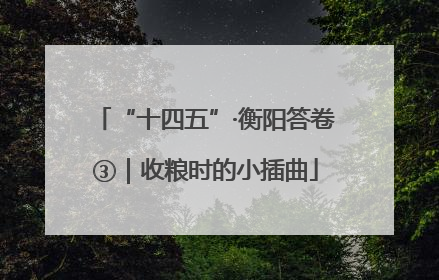 “十四五”·衡阳答卷③｜收粮时的小插曲