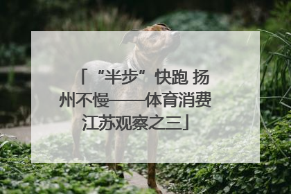 “半步”快跑 扬州不慢——体育消费江苏观察之三
