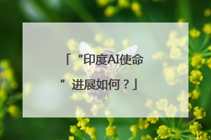 “印度AI使命”进展如何？