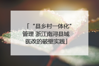 “县乡村一体化”管理 浙江南浔县域医改的破壁实践