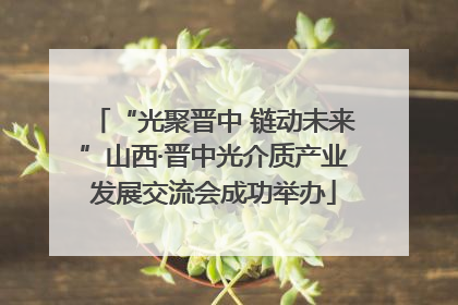 “光聚晋中 链动未来”山西·晋中光介质产业发展交流会成功举办