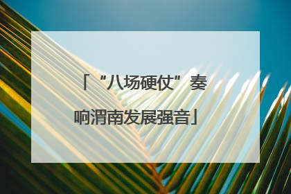 “八场硬仗”奏响渭南发展强音