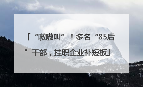 “嗷嗷叫”！多名“85后”干部，挂职企业补短板
