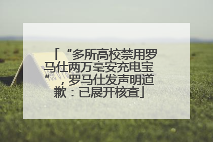 “多所高校禁用罗马仕两万毫安充电宝”，罗马仕发声明道歉：已展开核查