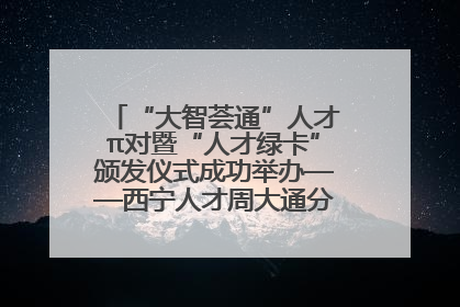 “大智荟通”人才π对暨“人才绿卡”颁发仪式成功举办——西宁人才周大通分会场亮点纷呈