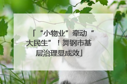 “小物业”牵动“大民生”！舞钢市基层治理显成效