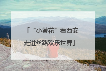 “小葵花”看西安走进丝路欢乐世界