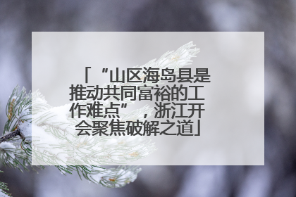 “山区海岛县是推动共同富裕的工作难点”，浙江开会聚焦破解之道