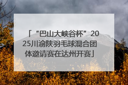 “巴山大峡谷杯”2025川渝陕羽毛球混合团体邀请赛在达州开赛