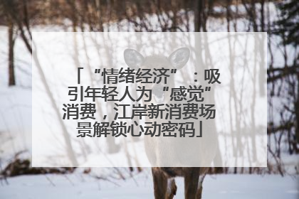 “情绪经济”：吸引年轻人为“感觉”消费，江岸新消费场景解锁心动密码