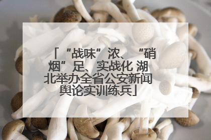 “战味”浓、“硝烟”足、实战化 湖北举办全省公安新闻舆论实训练兵