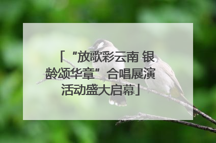 “放歌彩云南 银龄颂华章”合唱展演活动盛大启幕