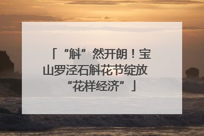 “斛”然开朗！宝山罗泾石斛花节绽放“花样经济”