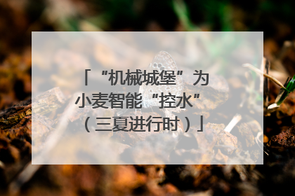“机械城堡”为小麦智能“控水”（三夏进行时）