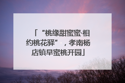 “桃缘甜蜜蜜·相约桃花驿”，孝南杨店镇早蜜桃开园