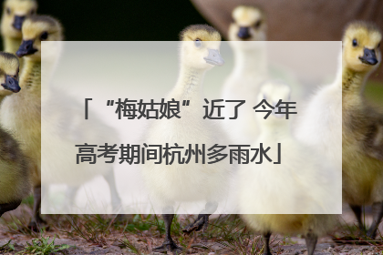 “梅姑娘”近了 今年高考期间杭州多雨水