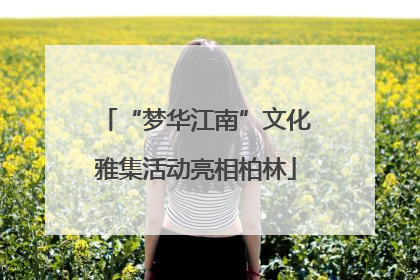 “梦华江南”文化雅集活动亮相柏林