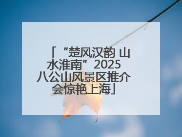 “楚风汉韵 山水淮南”2025八公山风景区推介会惊艳上海