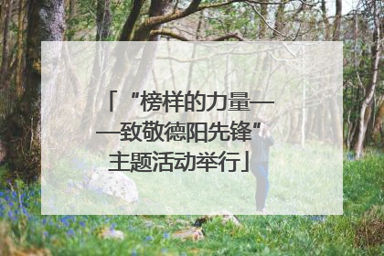 “榜样的力量——致敬德阳先锋”主题活动举行