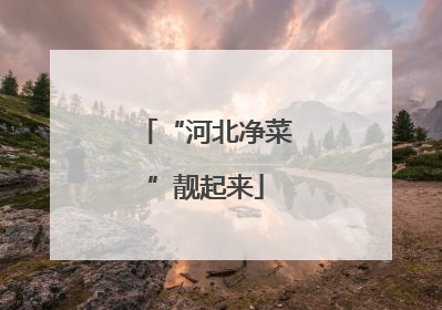 “河北净菜”靓起来