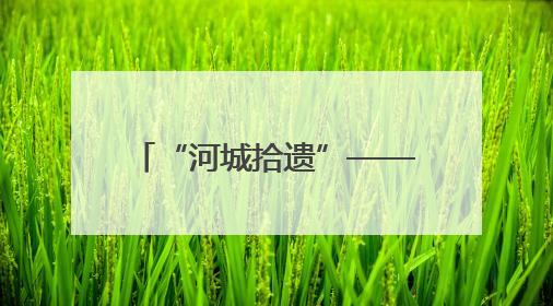 “河城拾遗”——青春视野下的浙东运河与绍兴古城之非遗掠影暨浙江传媒学院小学期来绍