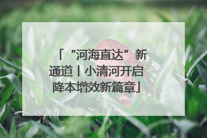“河海直达”新通道丨小清河开启降本增效新篇章