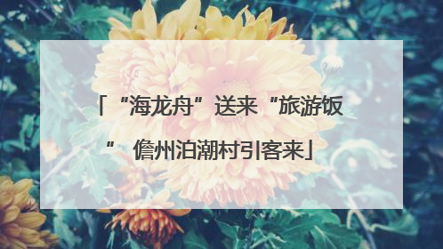 “海龙舟”送来“旅游饭” 儋州泊潮村引客来