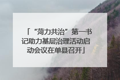 “菏力共治”第一书记助力基层治理活动启动会议在单县召开