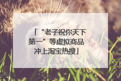 “老子祝你天下第一”等虚拟商品冲上淘宝热搜