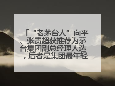 “老茅台人”向平、张贵超获推荐为茅台集团副总经理人选，后者是集团最年轻党委委员