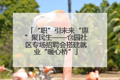 “职”引未来“惠”聚民生——仓园社区专场招聘会搭建就业“暖心桥”